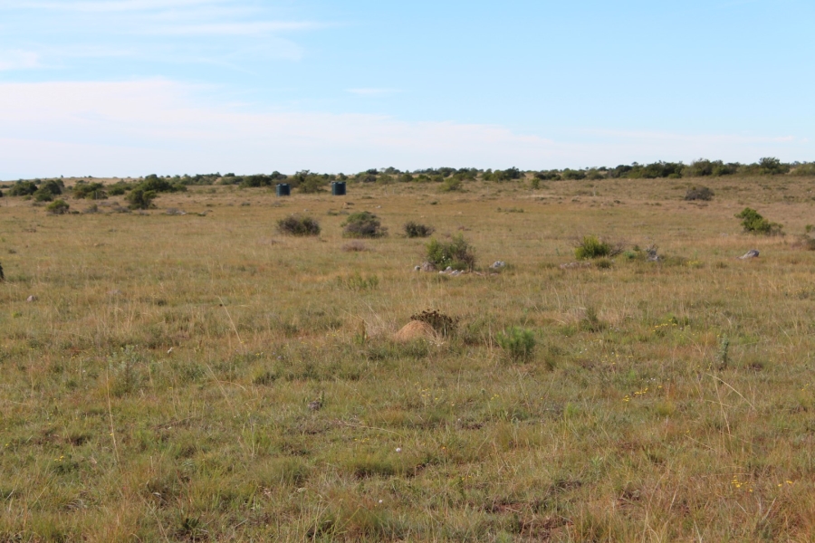 1 Bedroom Property for Sale in Bathurst Rural Eastern Cape